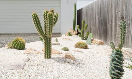 484014399_1149596853620553_5689592381994611231_n