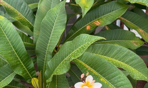 484142915_18489997105007901_1538310074352821063_n (1)