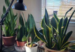 485023348_1429241988063042_5391105869897575622_n