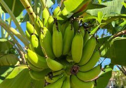 485680021_18490454884030022_4615209706284694142_n (1)