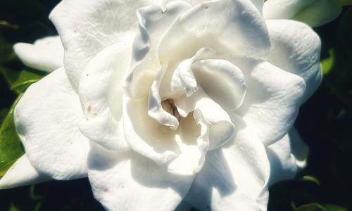 490712405_18401591074101045_4687954877679611118_n (1)