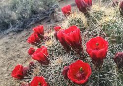 491438237_18051389078351049_9163340061272626482_n