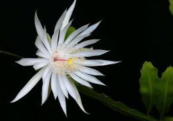 491444601_18496856707005474_183939674921186090_n (1)