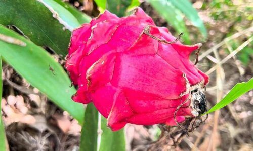 491468019_18496705480011186_6406193026915647346_n (1)