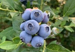 491508429_18042375989531852_7776769441619500937_n (1)