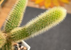 491517639_18003724238773391_8285030647651715079_n (1)