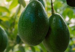 492710996_1501447574522518_8754072201735508362_n (1)