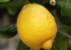 496217723_18059659451153161_1469674391250733140_n (1)