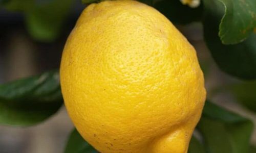 496217723_18059659451153161_1469674391250733140_n (1)