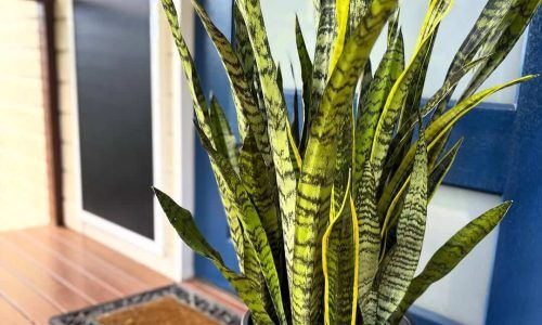 498196899_18224508067293847_2646282871189649456_n (1)