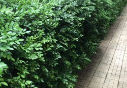 501012435_1659970038043328_7144432841999527947_n