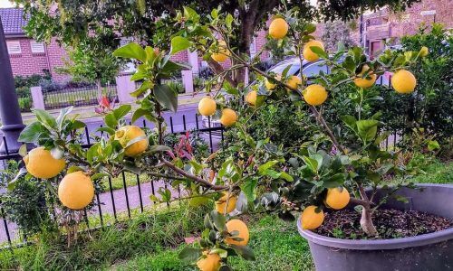 505782251_18314930650228297_7372227403884015246_n (1)