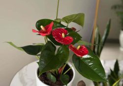 509762653_17883960465303138_7749393009405393847_n