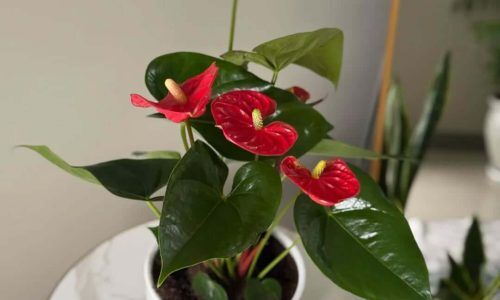 509762653_17883960465303138_7749393009405393847_n