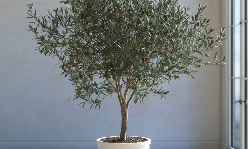 514175242_1334187942045654_3297111995934842516_n (1)