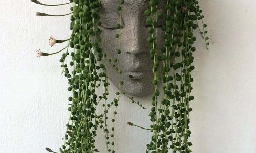 520434561_18319218598211046_3839264275442873313_n (1)