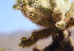 524482304_1160605779425677_2151123916546570831_n (1)