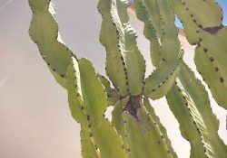 528687455_18086623339832441_3649975419005277410_n