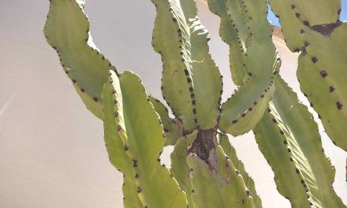 528687455_18086623339832441_3649975419005277410_n