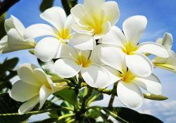 535298141_18317793475208369_5504279859760646430_n