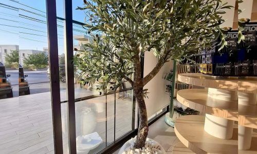 535876044_17890354452321858_3945429411610606218_n (1)