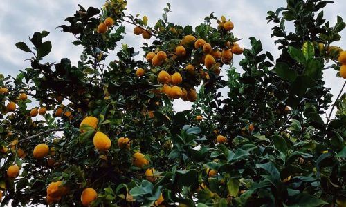 537718815_18517025488009334_2780907946231389407_n (1)