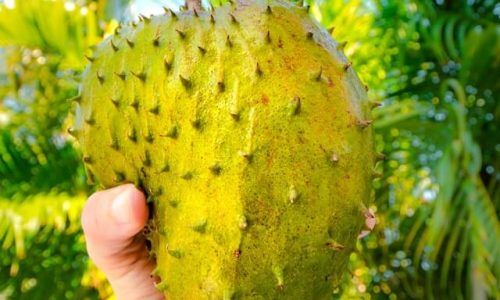 ethan-weil-fiOU98HM2Uc-unsplash (1)