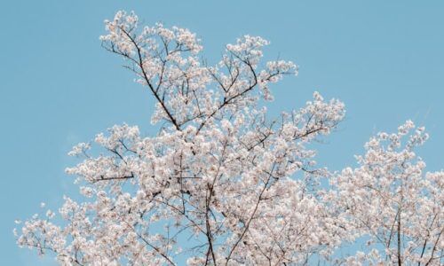 kendal-RLlwhlh0KpM-unsplash (1)