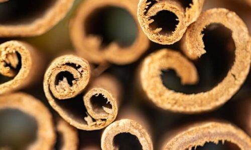 marek-studzinski-22TJLSCQhOk-unsplash (1)