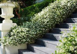 121253623_1285953621737452_8756095019033943992_n (1)