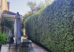 181066686_1431514190516976_3281252052475220245_n (1)