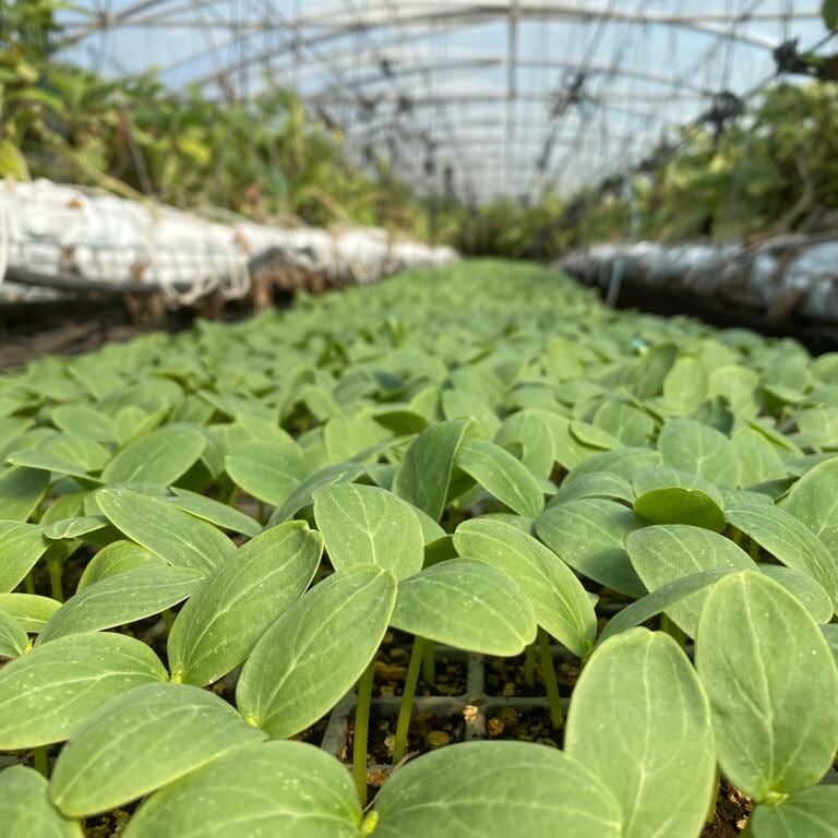 257364743_633467087968794_5183153319080066555_n (2)