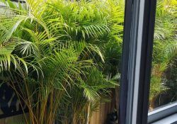 279170416_655484452417554_5634846864612621829_n (1)