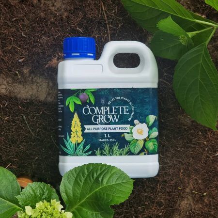 339460169_252468227205464_4362174526000445784_n