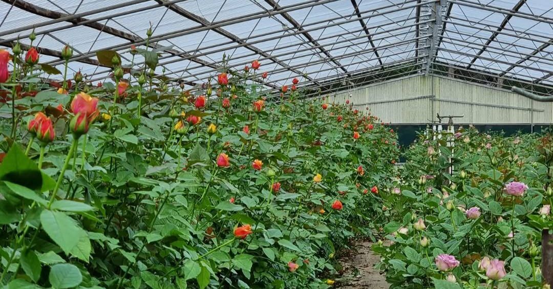 425303571_399922215771994_2155606013498926059_n (1)