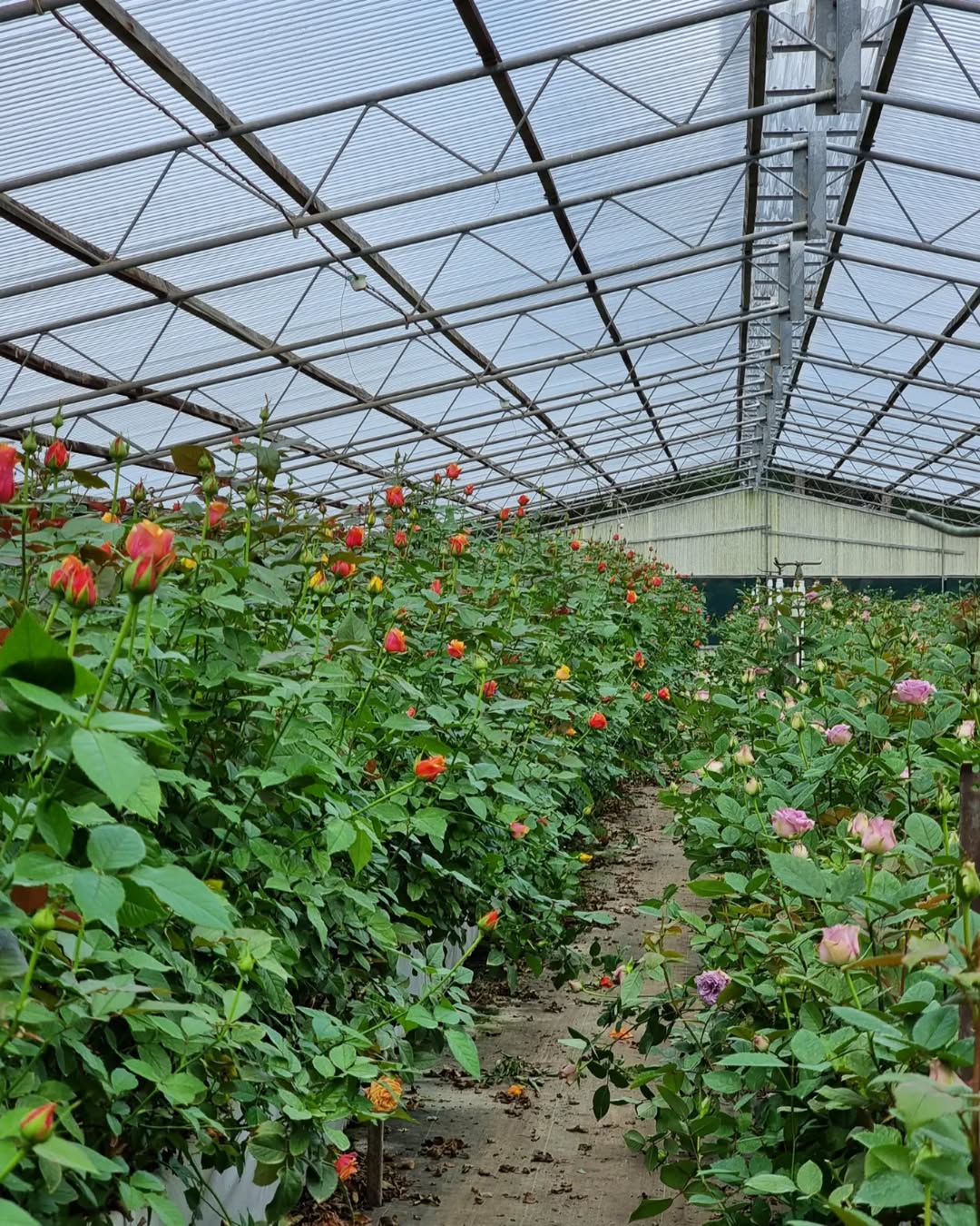 425303571_399922215771994_2155606013498926059_n (1)