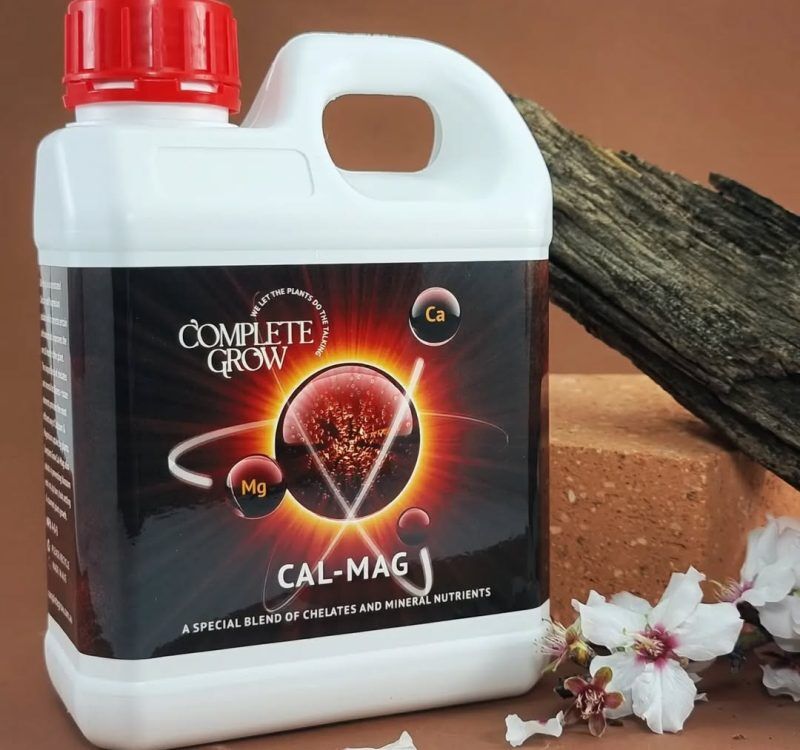 432923840_1441670950108539_2406999218199398457_n 432923840_1441670950108539_2406999218199398457_n