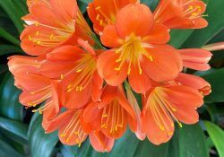 469220434_18313676194165348_9207861549001297115_n (1)