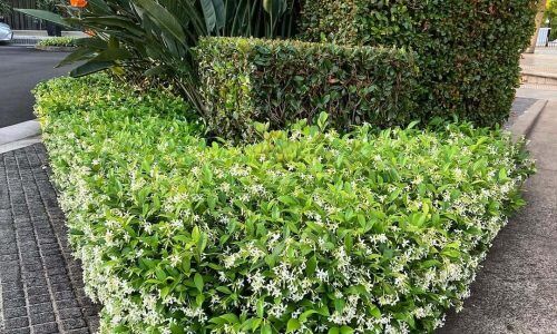 469466463_18478706323010075_8380920109931844889_n (1)