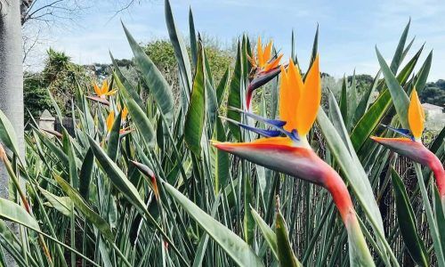 488260178_18060675554475515_525347708256964922_n (1)