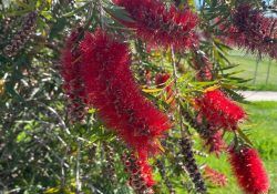 489053943_18309976975234109_4456865146314558631_n (1)