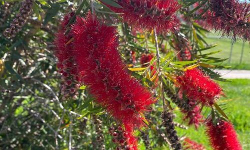 489053943_18309976975234109_4456865146314558631_n (1)