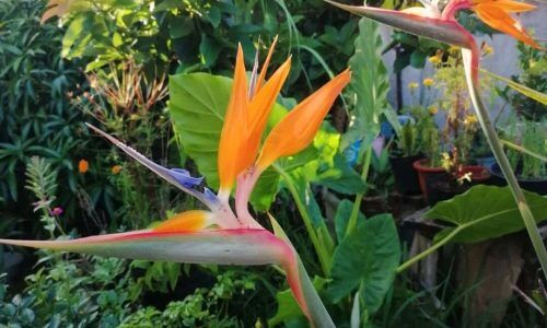 491415235_18474509941069402_3840410886069438473_n