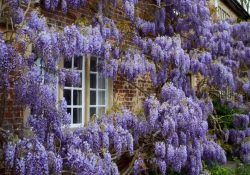 491433669_1188377892752918_8288617179237831777_n