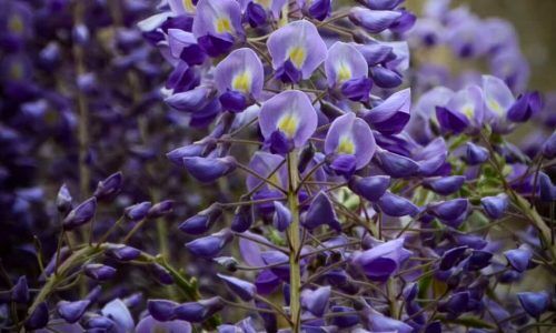 491446140_674793161918989_6916085125107699157_n