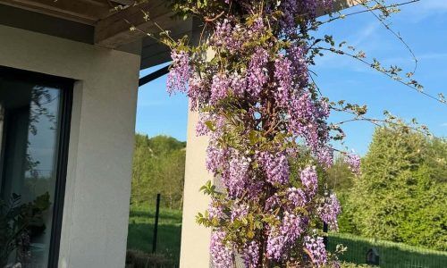 495592451_18346252789153356_366490970053200840_n (1)