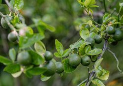 501349047_18506568151028963_2661452015218835061_n (1)