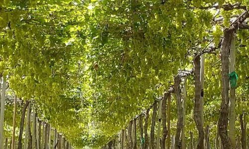 501698445_18349394455153754_1730414467085342356_n (1)