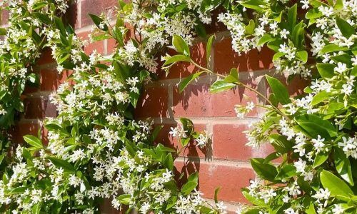 504087179_18175479772326768_2153364003726396199_n (1)