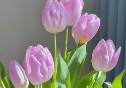 516600754_18511060666014669_7891739616402084016_n (1)